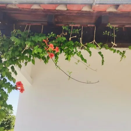 Casa de Férias Quinta Do Retiro *